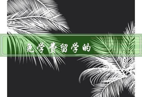 免学费留学的国家，德国／挪威／瑞典