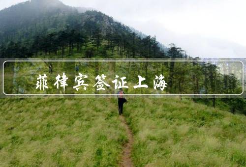 菲律宾签证上海，申请材料／申请流程／注意事项