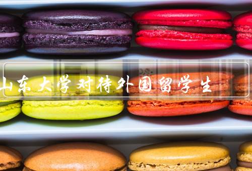 山东大学对待外国留学生（国际学生交流与合作、学术支持和课程设置）