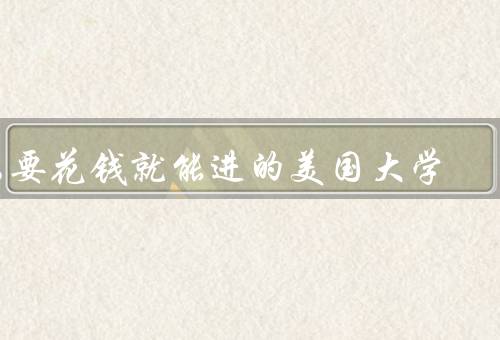 只要花钱就能进的美国大学（留学市场的商业化、教育公平性的争议）