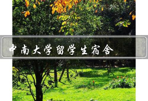 中南大学留学生宿舍，宿舍环境、生活便利、交流与活动
