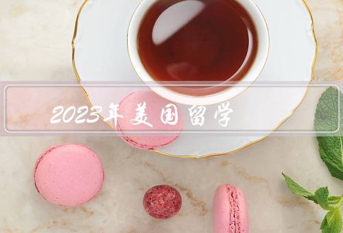 2023年美国留学，热度持续升温、专业选择更加多元化