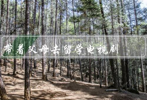 带着父母去留学电视剧，家庭关系的重塑／跨文化的冲突与融合