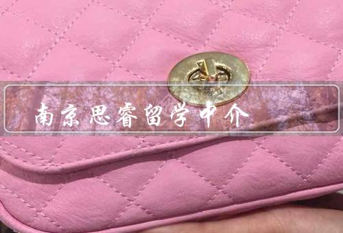 南京思睿留学中介，专业的团队／丰富的资源／个性化的服务