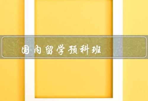 国内留学预科班，意义、结语