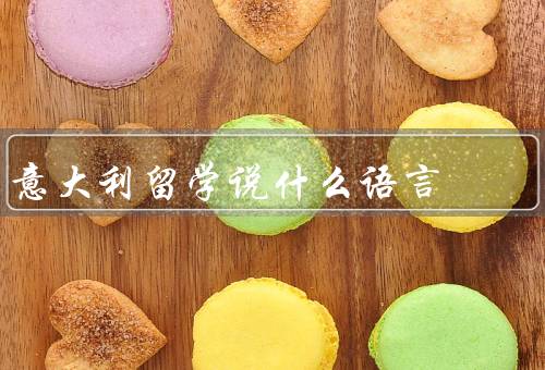 意大利留学说什么语言，留学意大利为什么要学习意大利语