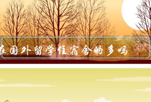 在国外留学住宿舍的多吗（种类／设施／社交环境）