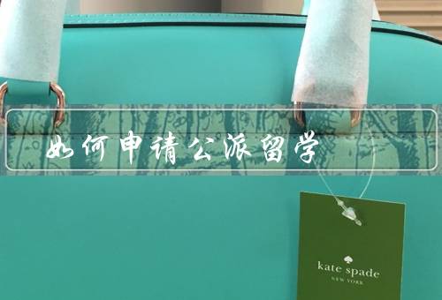 如何申请国家公派留学（条件、申请材料、流程）