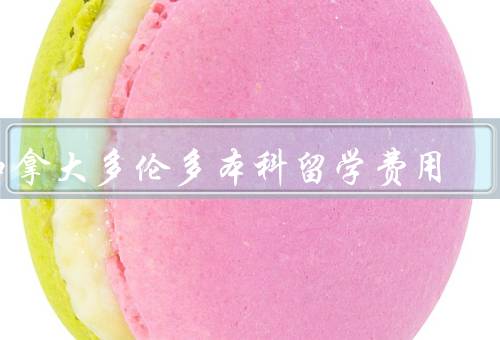 加拿大多伦多本科留学费用（留学费用、奖学金和助学金、打工和实习）