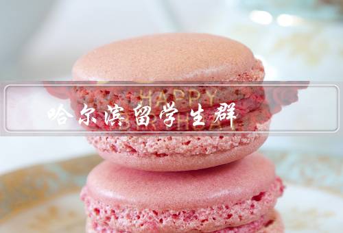 哈尔滨留学生群（形成、交流学习、成长）