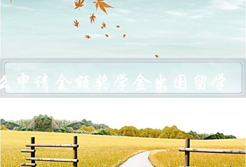 怎么申请全额奖学金出国留学，准备好申请材料