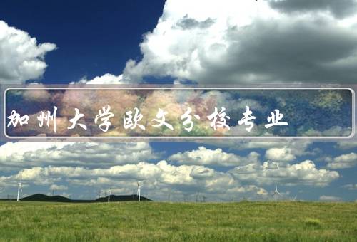 加州大学欧文分校专业（生命科学、工程学、商学）
