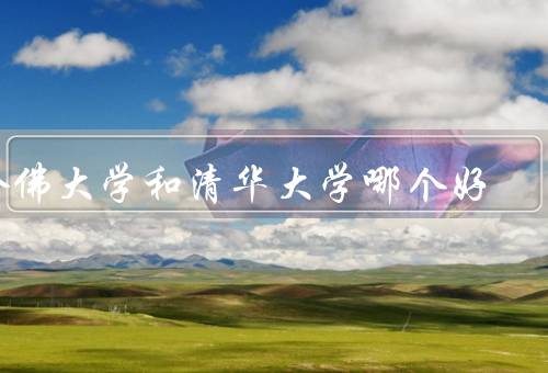 哈佛大学和清华大学哪个好（学术声誉、师资力量、国际影响力）