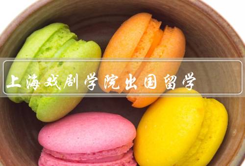 上海戏剧学院出国留学