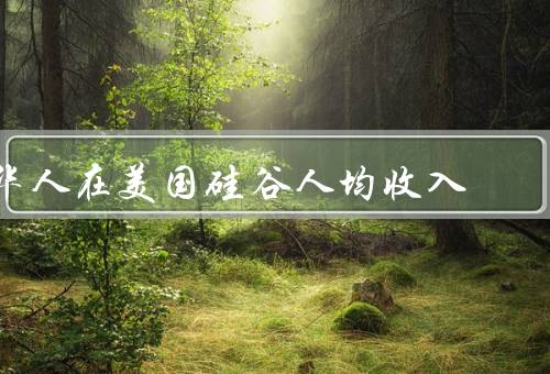 华人在美国硅谷人均收入（人均收入水平、就业机会和创业环境）