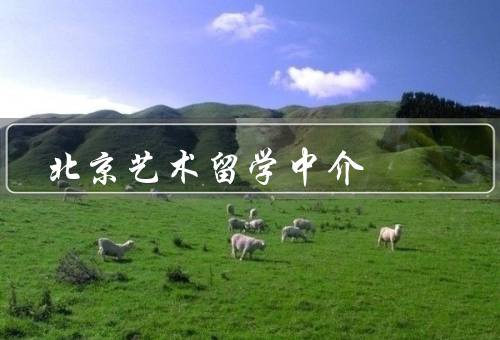 北京艺术留学中介