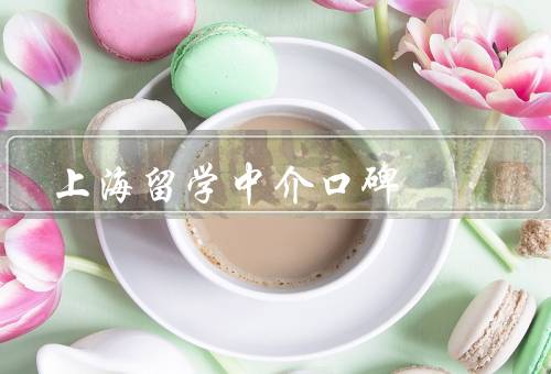 上海留学中介口碑（专业服务／口碑良好／综合实力强）