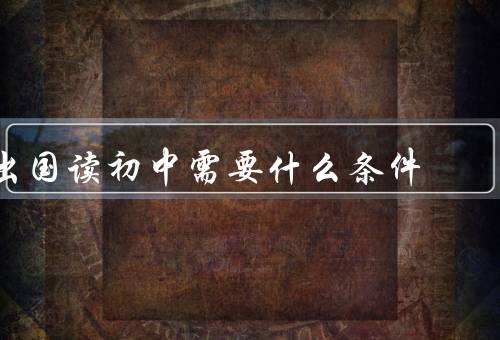 出国读初中需要什么条件（语言能力／学习能力／经济条件）
