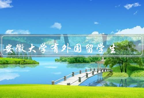 安徽大学有外国留学生（背景多样化／丰富了校园文化）