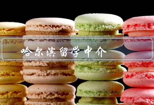 哈尔滨香港留学中介（专业留学规划／申请材料准备）