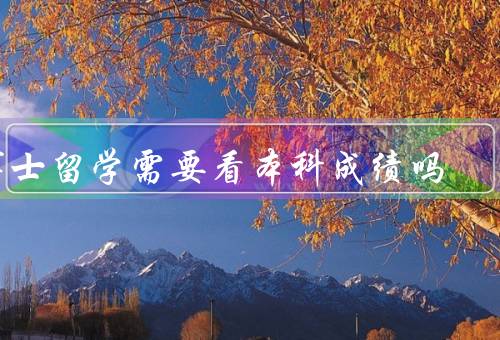 博士留学需要看本科成绩吗，申请学校要求／学术背景评估