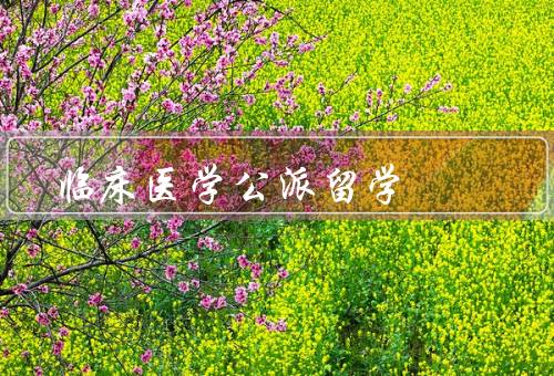 临床医学公派留学（意义和目的、申请和准备、经验和收获）