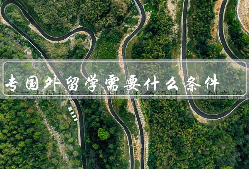 大专国外留学需要什么条件（语言能力、学术成绩、经济能力）