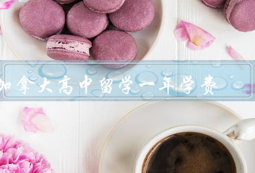 加拿大高中留学一年学费，学费费用、教育质量、经济压力和奖学金