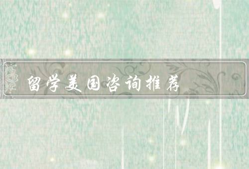 留学美国咨询推荐，留学规划／申请材料准备／签证申请
