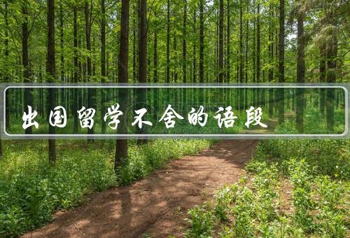 出国留学不舍的语段（背离家乡、适应新环境、追求教育和事业的机会）