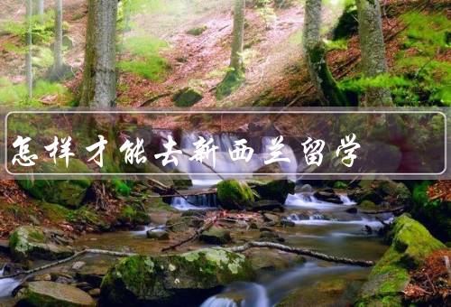 怎样才能去新西兰留学（申请材料／教育体系／留学费用）