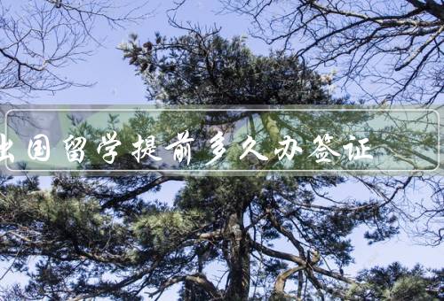 出国留学提前多久办签证，办理签证的时间节点、提前办理签证的好处