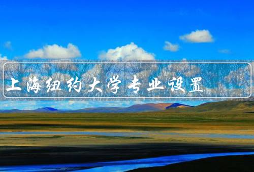 上海纽约大学专业设置（计算机科学与工程／国际关系／金融与商务）