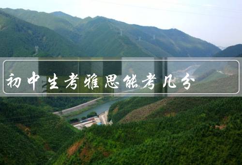 初中生考雅思能考几分