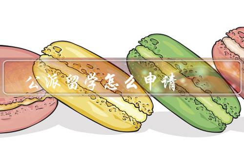 国家公派留学怎么申请，材料准备／申请流程／其他注意事项
