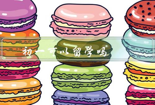 初一可以留学吗，学习能力、独立生活能力、成长和经历