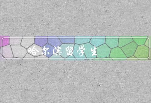 哈尔滨俄罗斯留学生（留学生人数增加／学习环境优越／中俄文化交流）