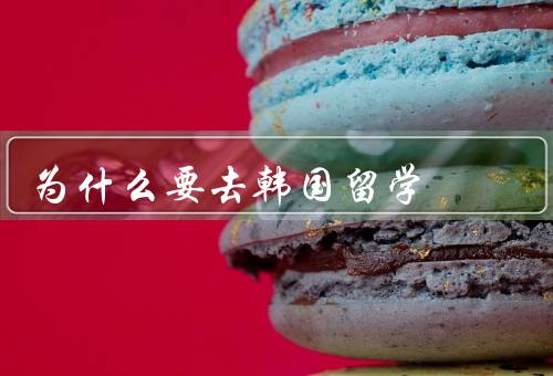 为什么要去韩国留学，文化交流、教育质量、就业机会