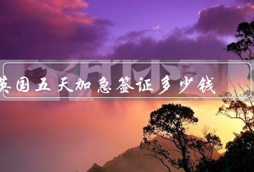英国五天加急签证多少钱，签证类型、申请人国籍、费用范围