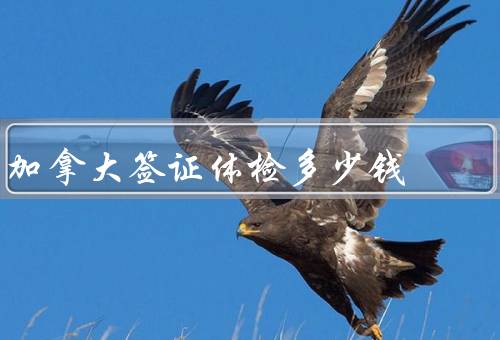 加拿大签证体检多少钱（费用、流程、注意事项）