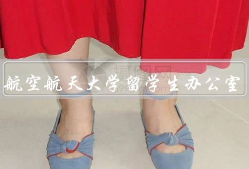 北京航空航天大学留学生办公室（留学生签证办理／学习指导）