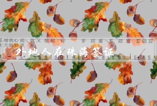 外地人在珠海签证澳门（签证申请、面试与审批、领取签证）