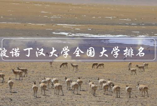 宁波诺丁汉大学全国大学排名，学科实力雄厚／国际交流与合作广泛