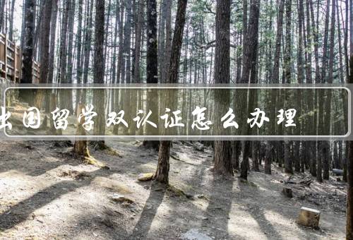 出国留学双认证怎么办理，留学国家学历认证、中国教育部学历认证
