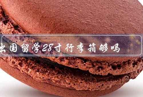 出国留学28寸行李箱够吗，行李箱的容量／行李的重量限制