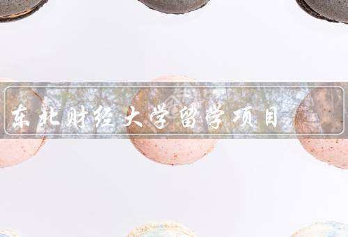 东北财经大学留学项目（背景／特点／优势）