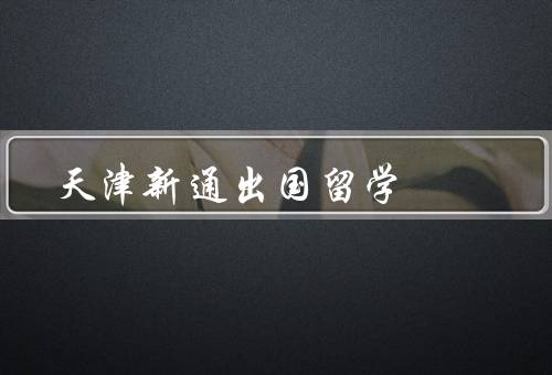 天津新通出国留学，留学咨询、语言培训、文化交流