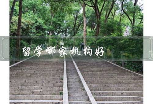 俄罗斯留学哪家机构好（中介／教育机构／交流机构）