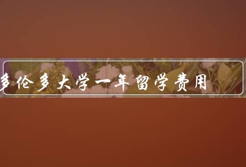 多伦多大学一年留学费用，学费／生活费／住宿费