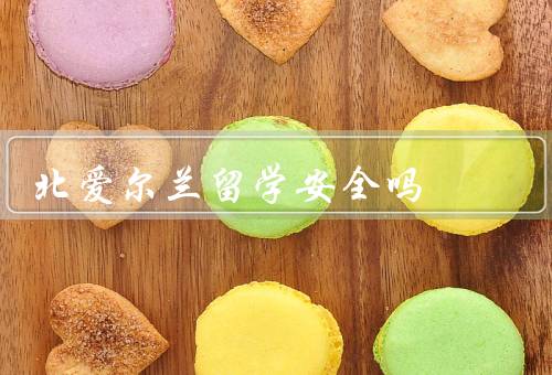 北爱尔兰留学安全吗（治安／教育质量／留学生支持）